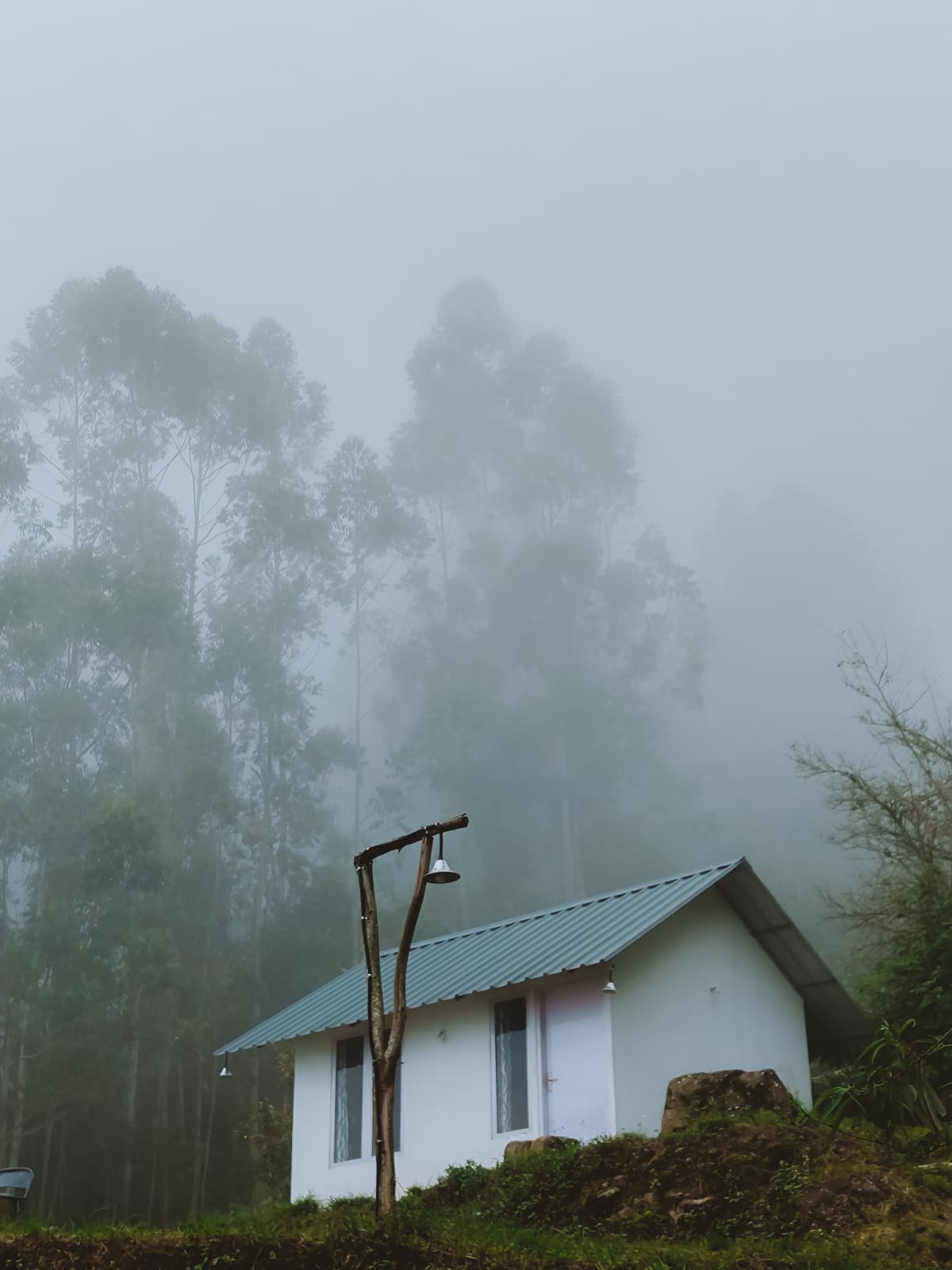 Luxury Glamping Resort in Vattavada Munnar Landscape