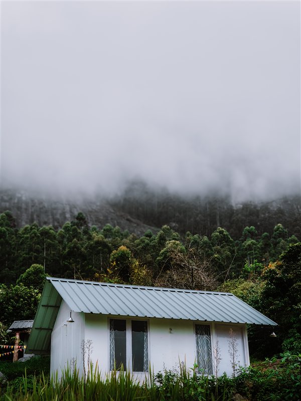 Top Station View Munnar