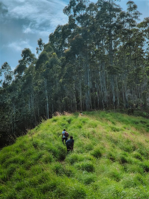 Best Pitstops Munnar