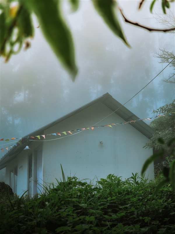 Misty Cabin Stay in Vattavada near Munnar